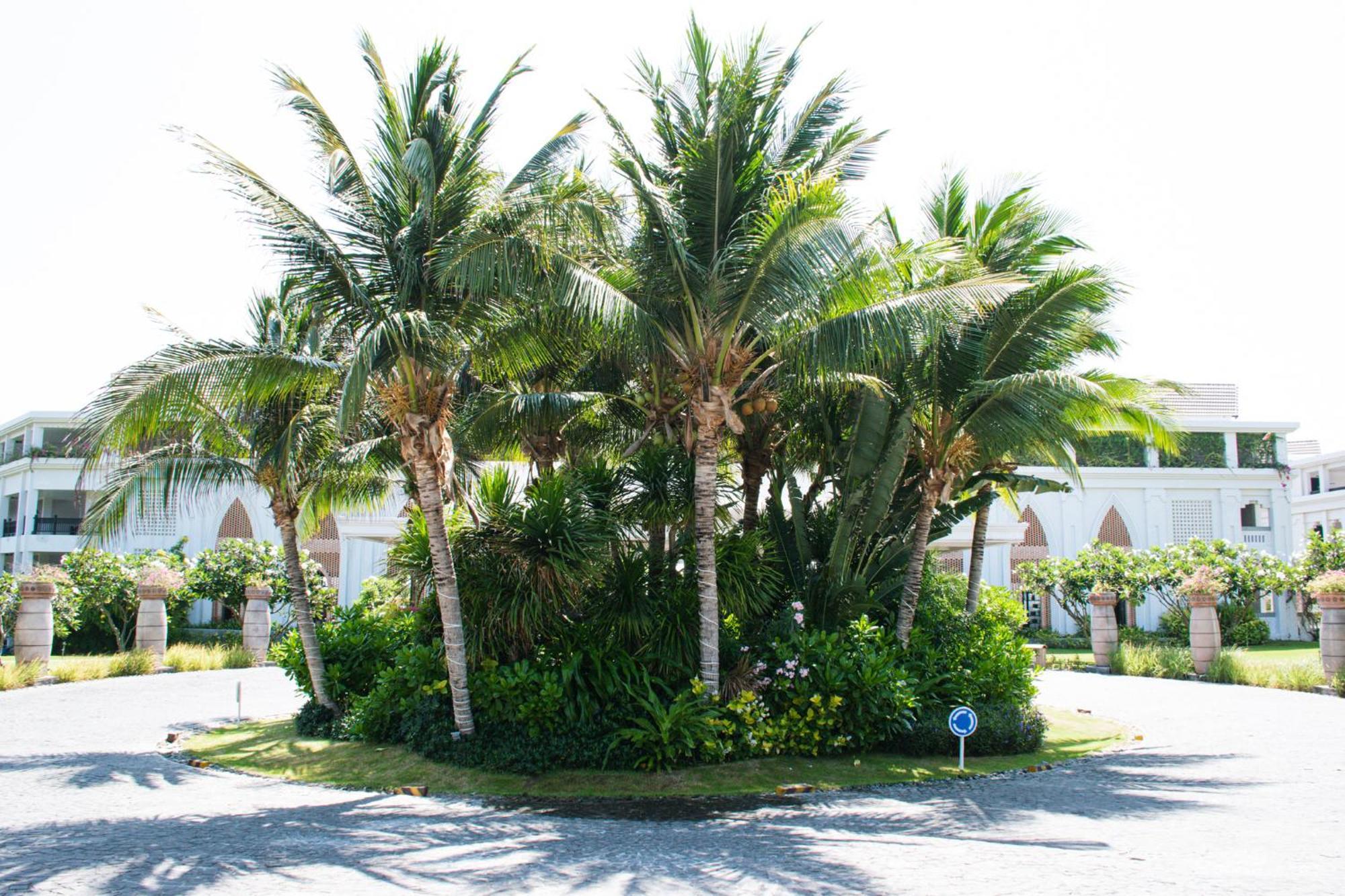 Muine Bay Resort Муи Не Екстериор снимка